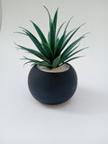 Artificial Succulent Plants in Round Ceramic Pot – Artificial Plant Decoration for Home, Office, Desk, Living Room Decor & Gifts Pots For Decoration