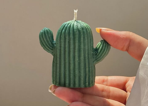 3D Realistic Cactus Candle for home decor - DIY Crafts - Perfect for Home Decor, Holiday & Birthday Decorations, Cactus Decor