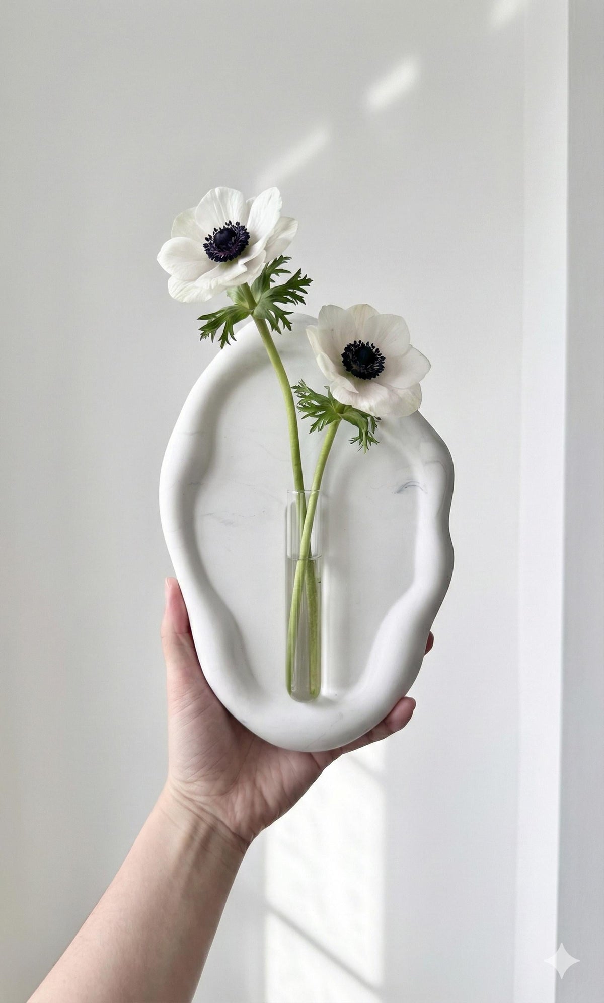 Wall Hanging Flower Vase | Minimalist Ceramic Wall Vase with Glass Tube | Boho Home Decor | Decorative Plant Holder | Unique Gift for Home & Living