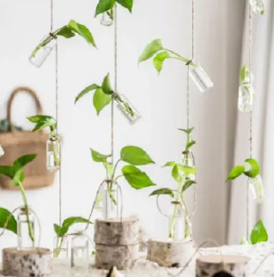 New Set of 8 Rope Hanging Small Glass Bud Vase Without Money Plants , Decorative Hanging Glass Plants Vases, Small Hanging Vases, Home Decor, Housewarming Gift