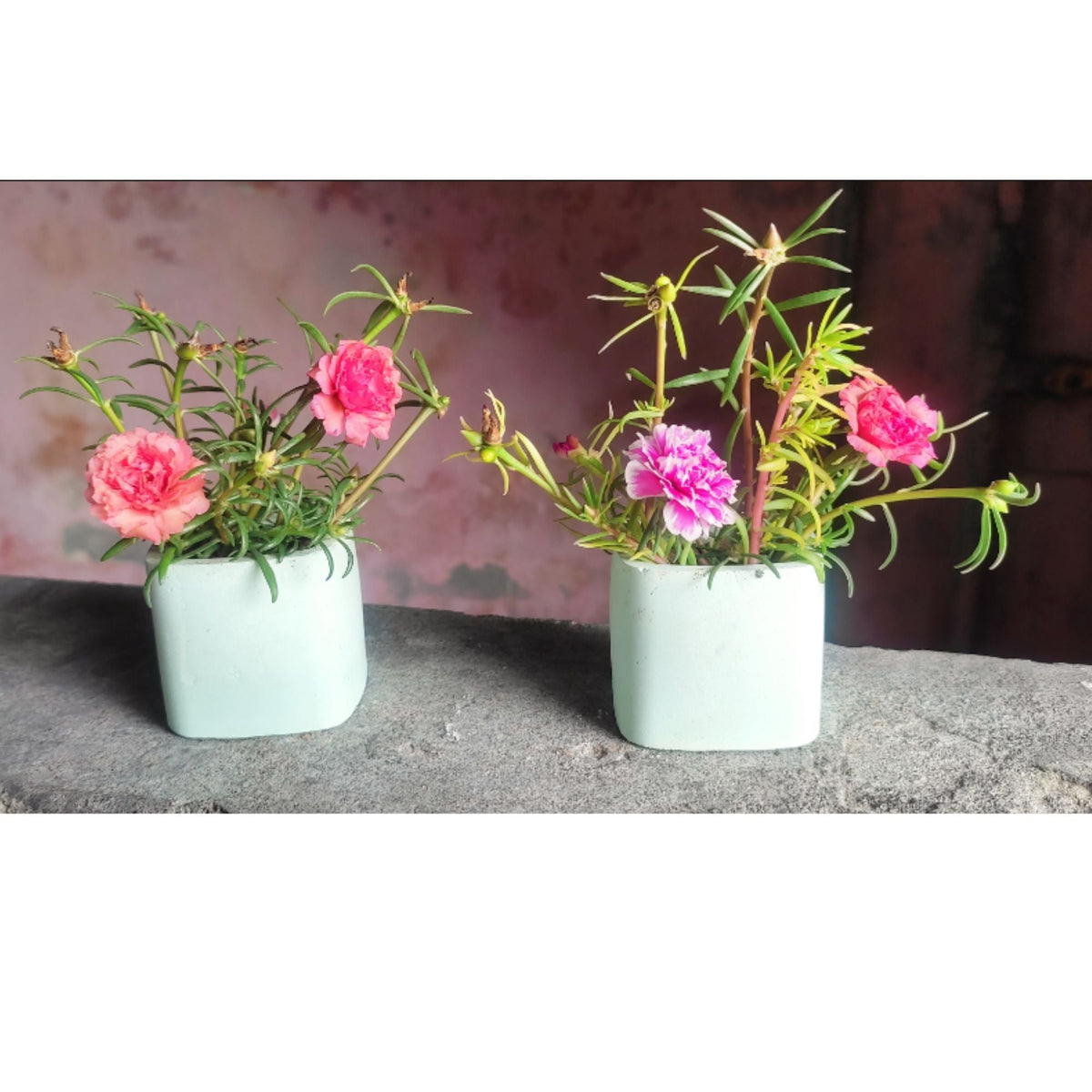 Pack of 2 Artificial Plants Pots for Decoration Mini Pots for Home and Office Decoration Blue Green Gray Color