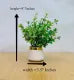 Artificial Wild Plant with Black / White Pot | Washable | Best Used for Home Purposes and Office Decoration Table Top home decoration items flowers Showpiece for home decoration